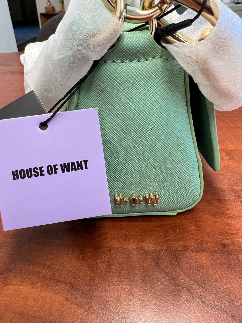 Mint Green vegan leather crossbody bag with Gold Hardware and chain. NWT - Picture 4 of 10